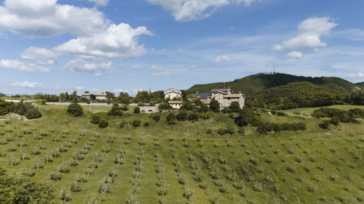 La tenuta vista dall'alto: campi, il borgo e i boschi sulle colline di Montelovesco