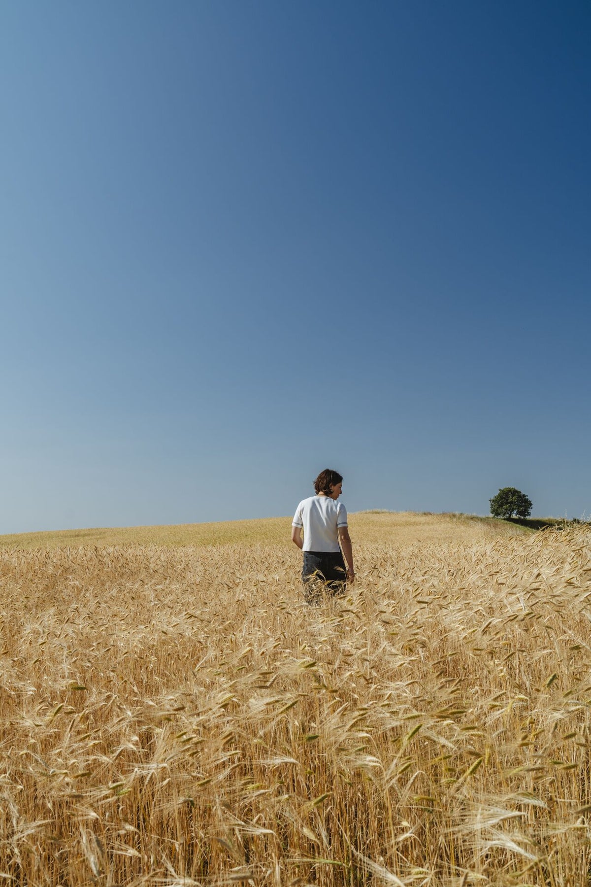 Serena cammina nel campo di grano